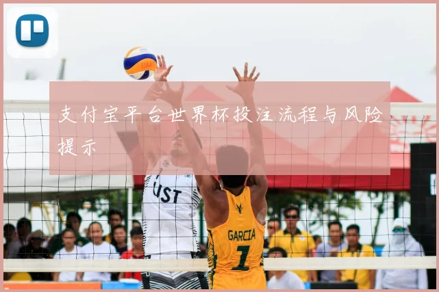 支付宝平台世界杯投注流程与风险提示