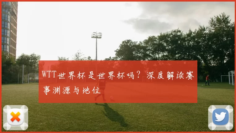 WTT世界杯是世界杯吗?深度解读赛事渊源与地位