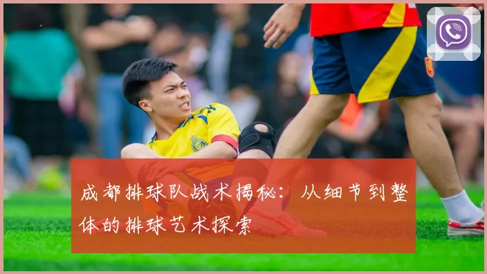 成都排球队战术揭秘:从细节到整体的排球艺术探索
