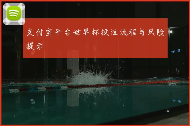 支付宝平台世界杯投注流程与风险提示