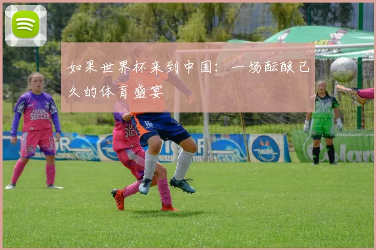 如果世界杯来到中国：一场酝酿已久的体育盛宴