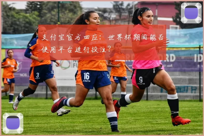 支付宝官方回应:世界杯期间能否使用平台进行投注?