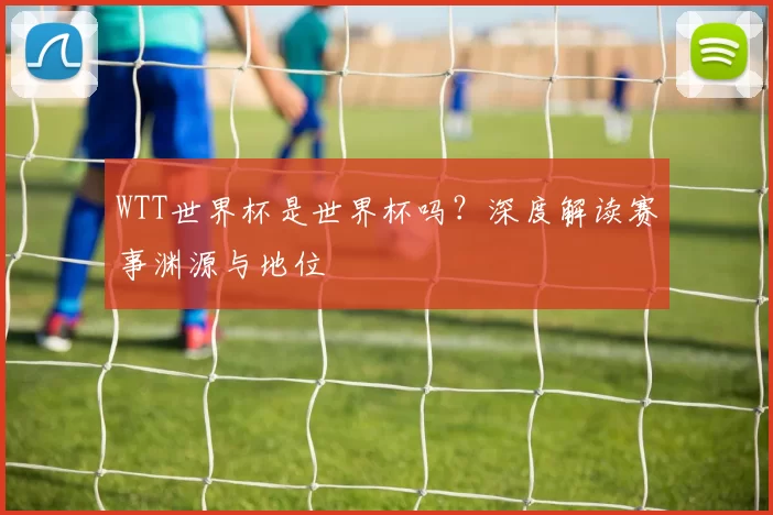 WTT世界杯是世界杯吗？深度解读赛事渊源与地位