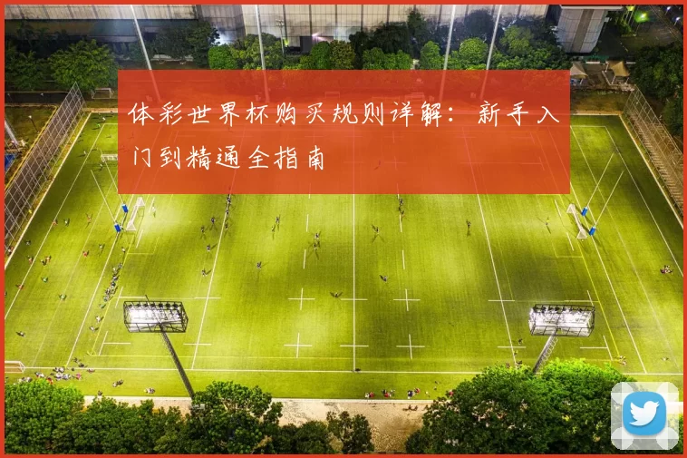 体彩世界杯购买规则详解：新手入门到精通全指南