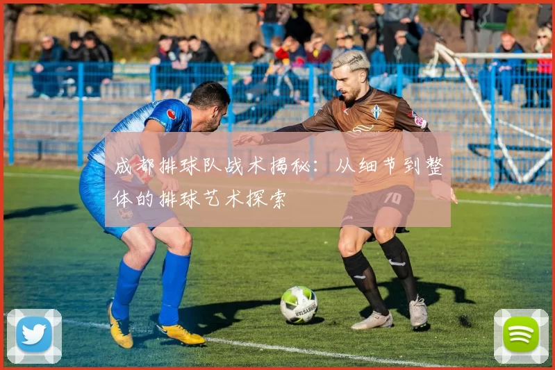 成都排球队战术揭秘:从细节到整体的排球艺术探索